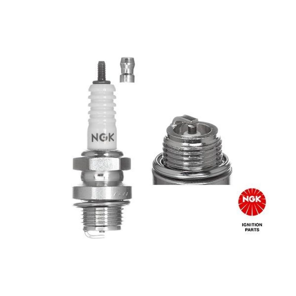 Spark Plug NGK 3010