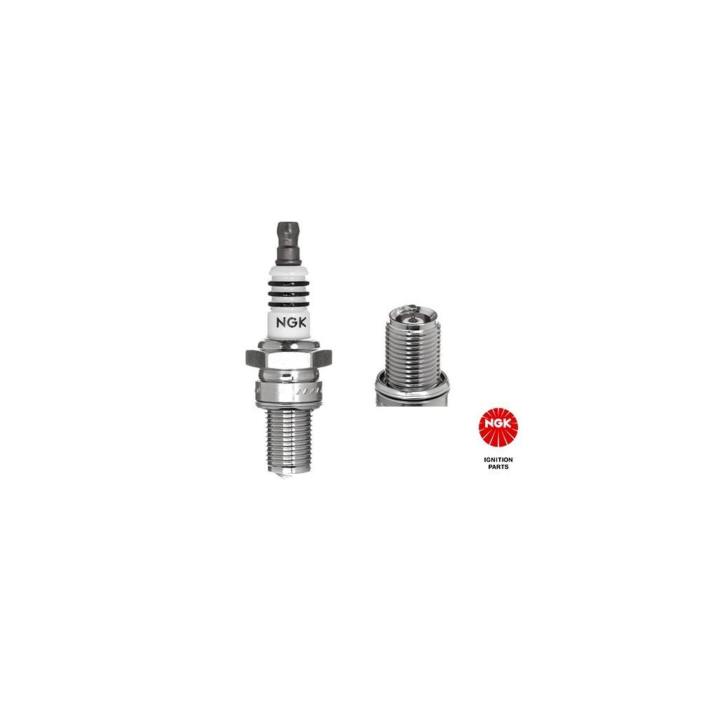 Spark Plug NGK 3520