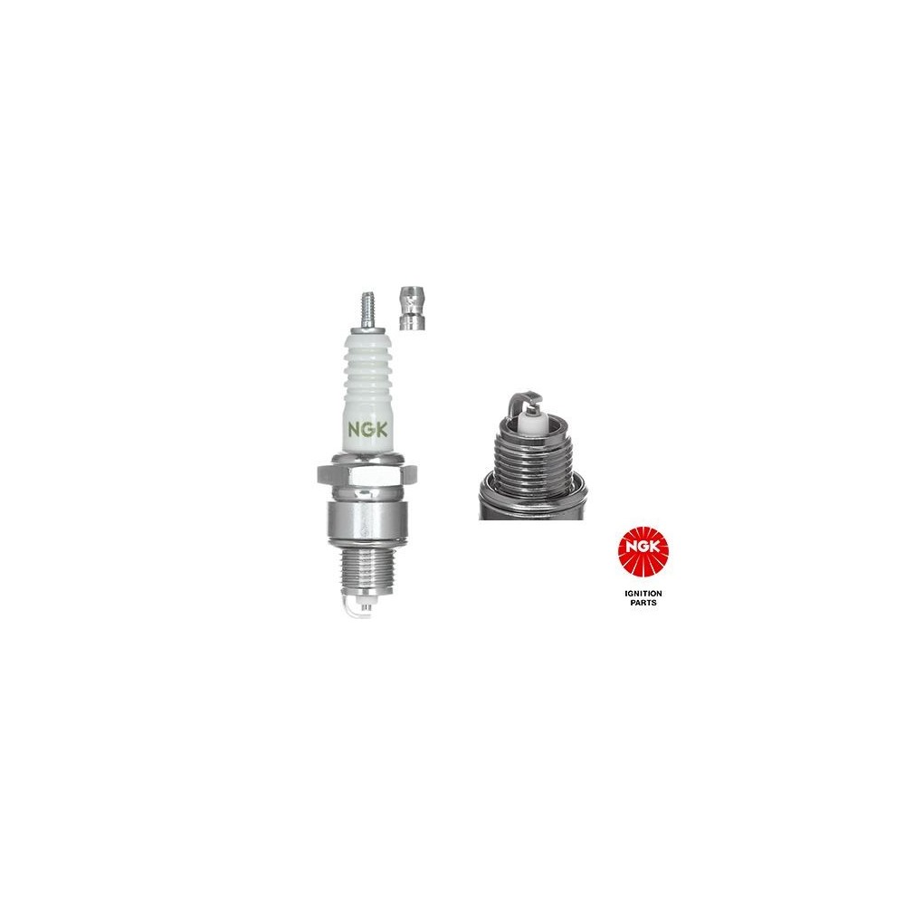 Spark Plug NGK 3975