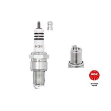 Spark Plug NGK 3981