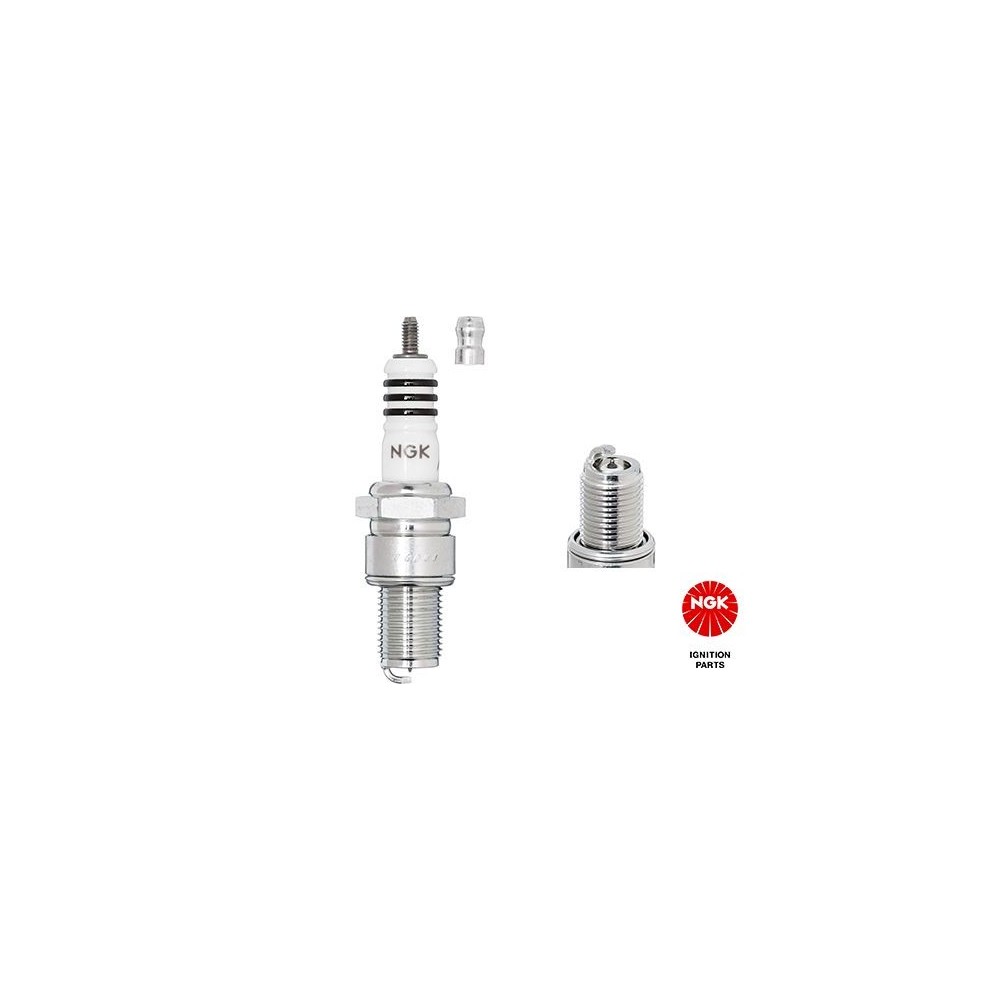 Spark Plug NGK 3981