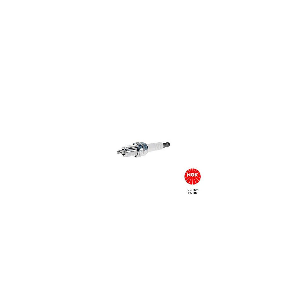 Spark Plug NGK 4095