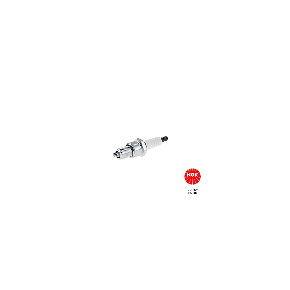 Spark Plug NGK 7788