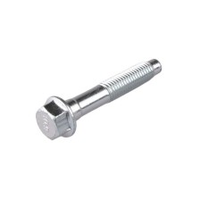 Bolt TEDGUM TED22513