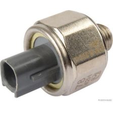 Knock Sensor HERTH+BUSS JAKOPARTS J5672002