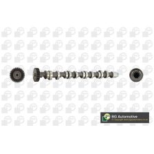 Camshaft BGA CS9612