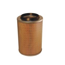 Air Filter FILTRON AM 417