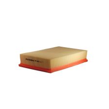 Air Filter FILTRON AP 005