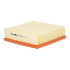 Air Filter FILTRON AP 006
