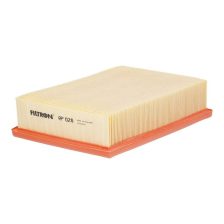 Air Filter FILTRON AP 028