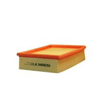 Air Filter FILTRON AP 072