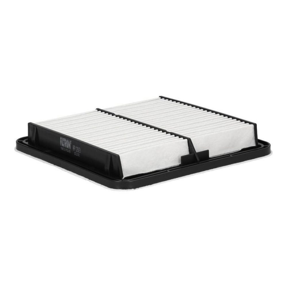 Air Filter FILTRON AP 121/3