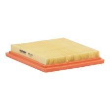 Air Filter FILTRON AP 124