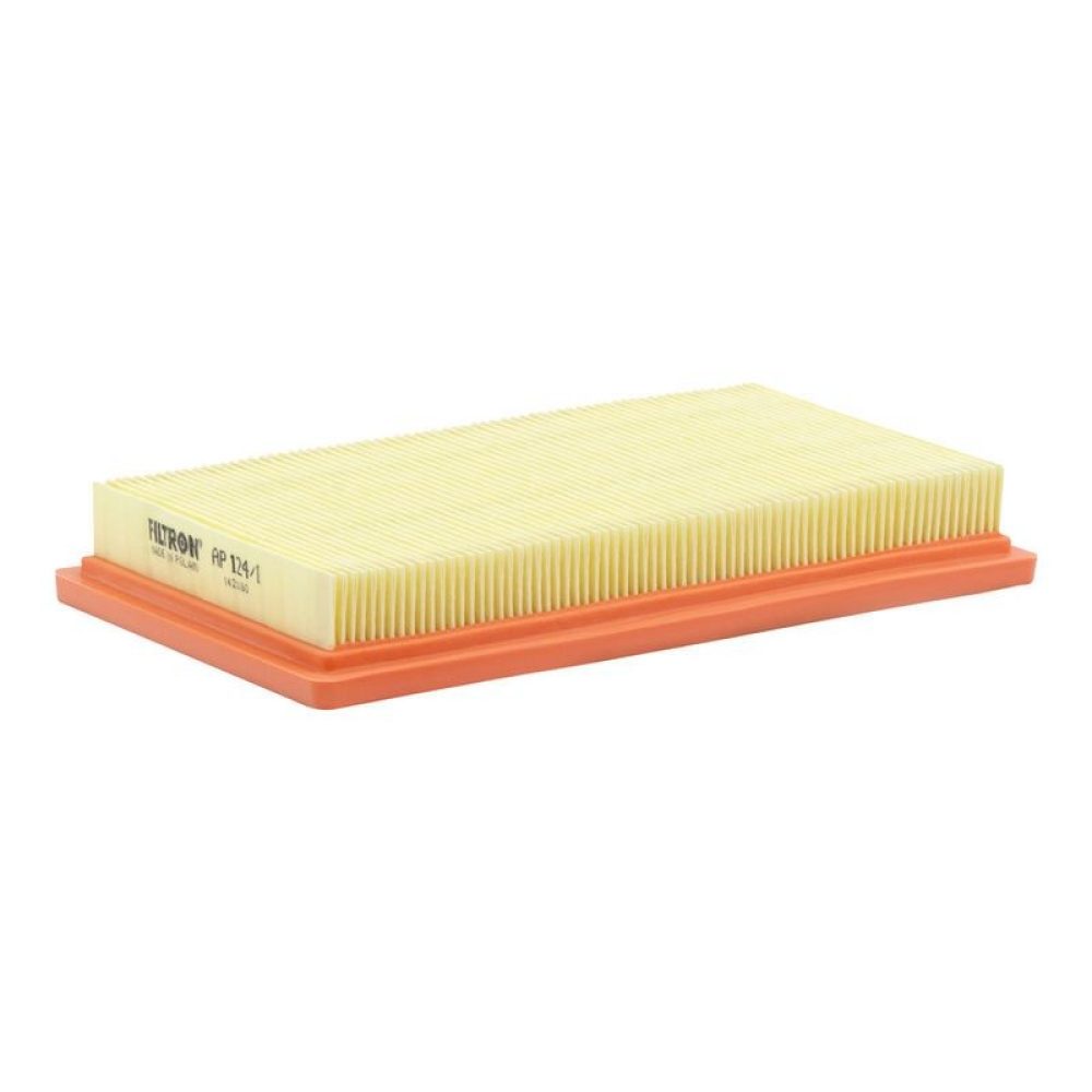 Air Filter FILTRON AP 124/1