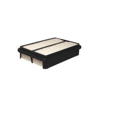 Air Filter FILTRON AP 148
