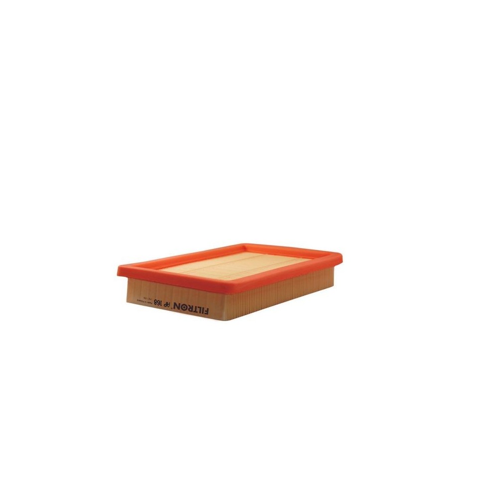 Air Filter FILTRON AP 168