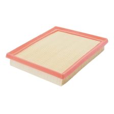 Air Filter FILTRON AP 170/3