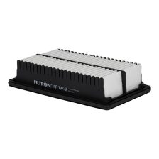 Air Filter FILTRON AP 197/2