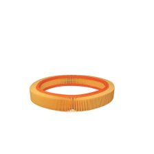Air Filter FILTRON AR 033