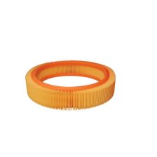 Air Filter FILTRON AR 202