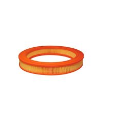 Air Filter FILTRON AR 210