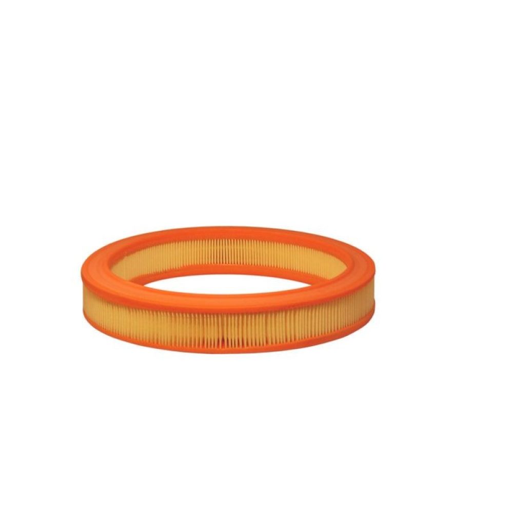 Air Filter FILTRON AR 222
