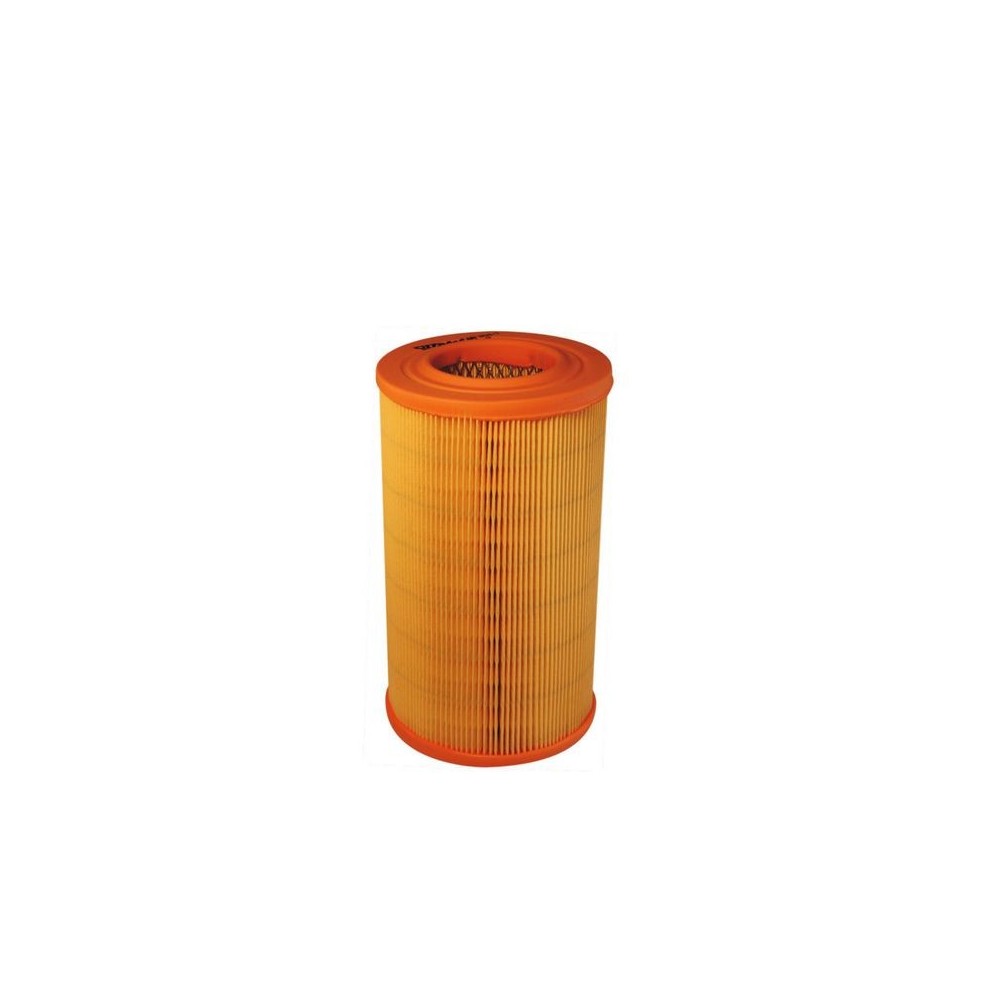 Air Filter FILTRON AR 304/1