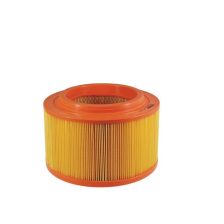Air Filter FILTRON AR 307/3