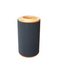 Air Filter FILTRON AR 316/2