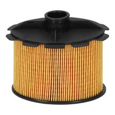 Fuel Filter FILTRON PE 816/2