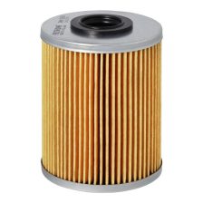 Fuel Filter FILTRON PM 936