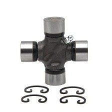 Joint