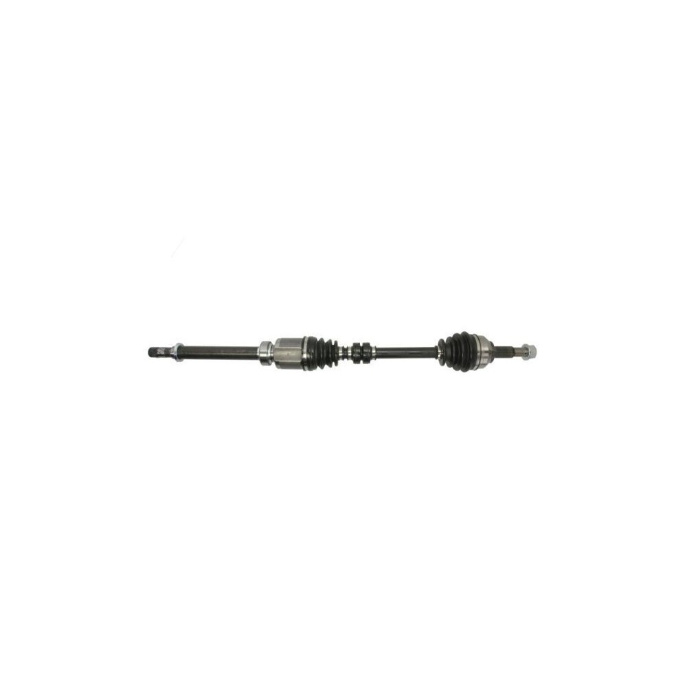 Drive Shaft PASCAL G21025PC