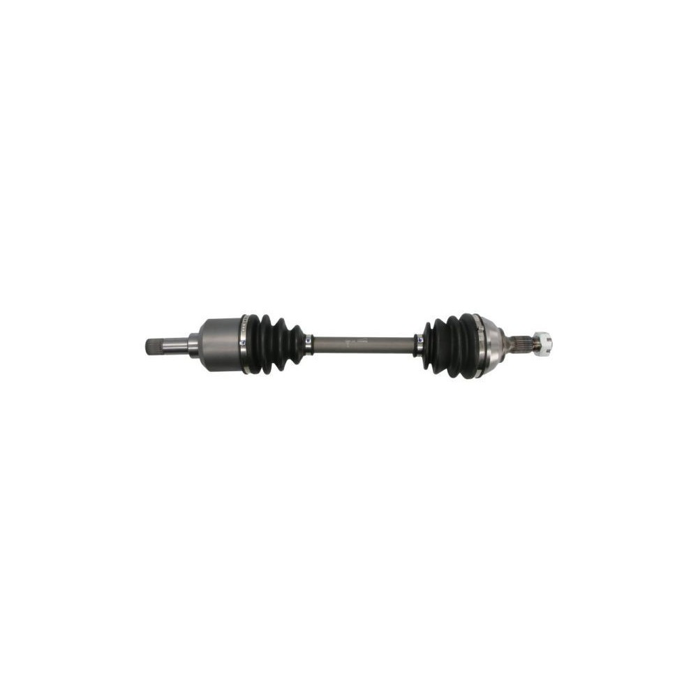 Drive Shaft PASCAL G2C009PC