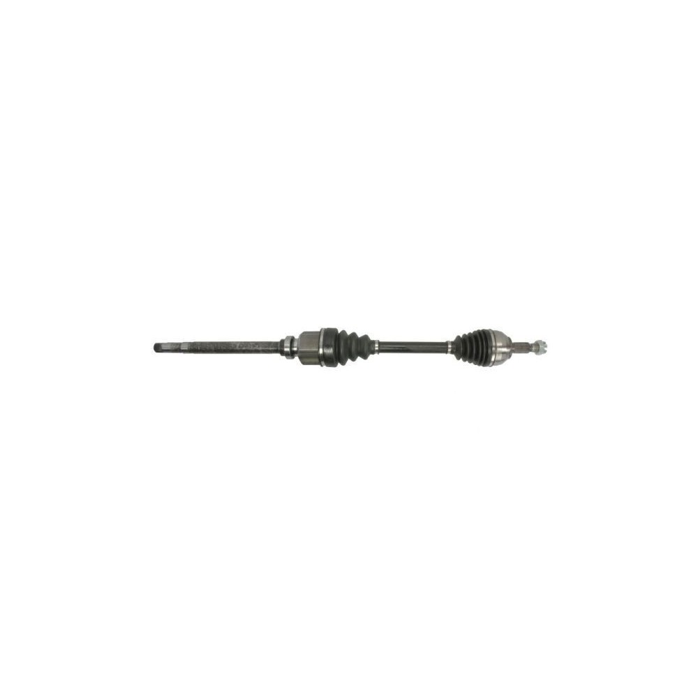 Drive Shaft PASCAL G2C172PC