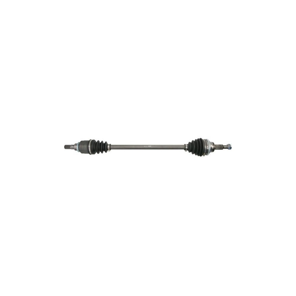Drive Shaft PASCAL G2E024PC
