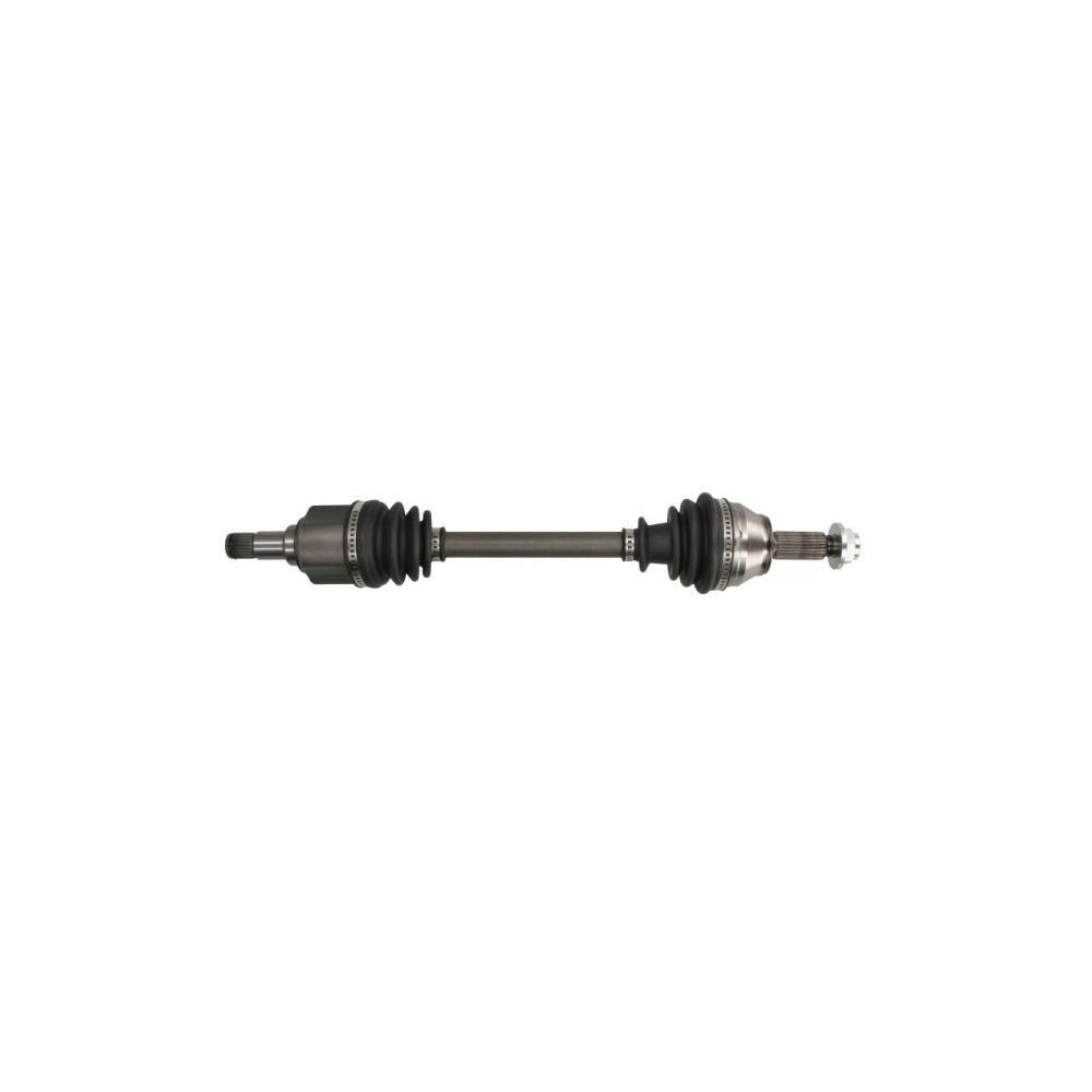 Drive Shaft PASCAL G2G012PC