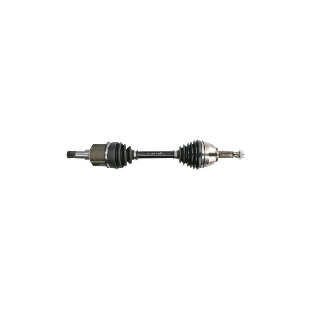 Drive Shaft PASCAL G2G042PC