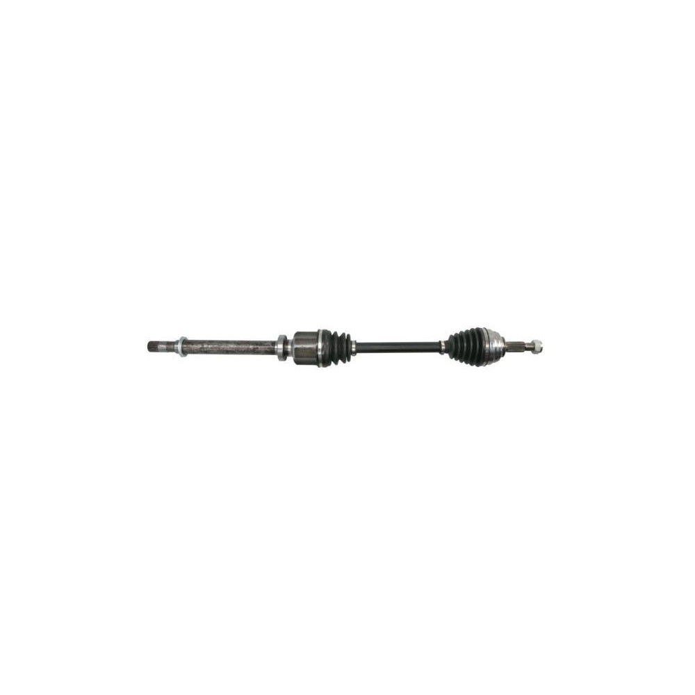 Drive Shaft PASCAL G2R083PC