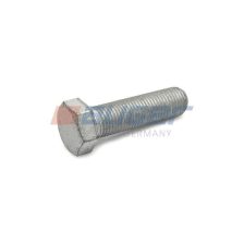 Bolt AUGER 70529