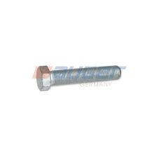 Mounting Bolt