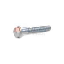 Mounting Bolt