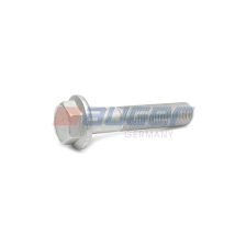 Mounting Bolt