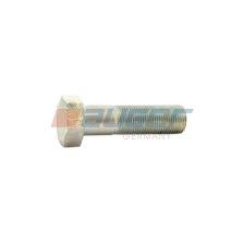 Mounting Bolt