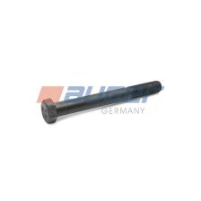 Mounting Bolt