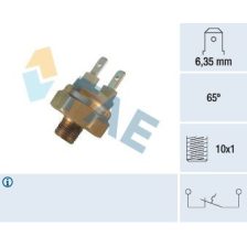 Temperature Switch