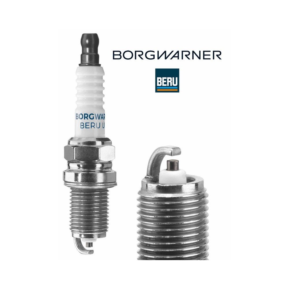 Spark Plug BorgWarner (BERU) Z249