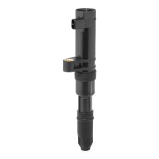 Ignition Coil BorgWarner (BERU) ZS552