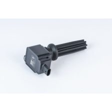 Ignition Coil BorgWarner (BERU) ZSE233
