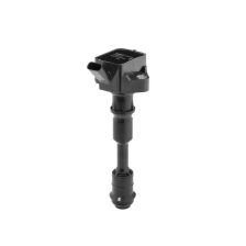 Ignition Coil BorgWarner (BERU) ZSE294